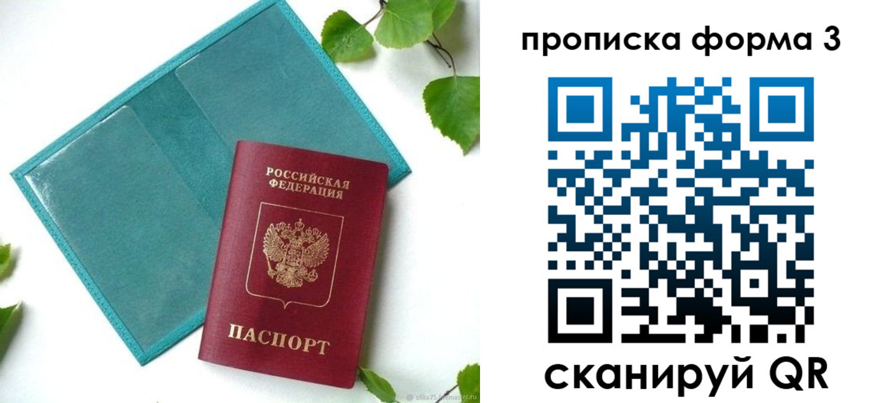 прописка ребенка в Партизанске